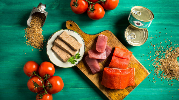 Fromm Four Star Salmon & Tuna Pate Cat Food