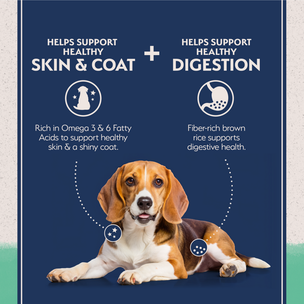 Natural Balance Limited Ingredient Grain Free Dry Dog Food, Chicken & Sweet Potato Recipe