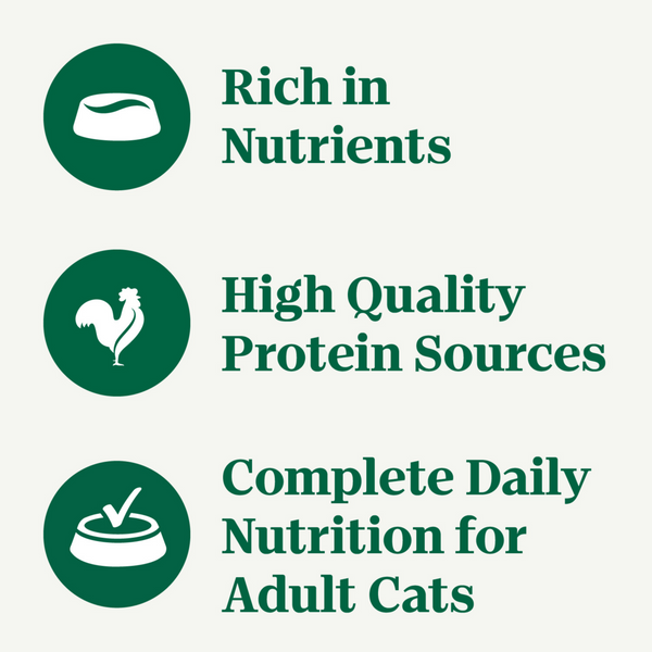 Nutro Perfect Portions Grain-Free Salmon & Tuna Recipe Cat Food Trays