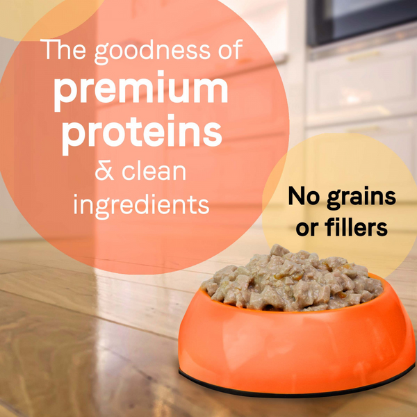 Canidae Grain Free PURE Petite Small Breed Escalloped Style Dinner Pate with Salmon and Shrimp Wet Dog Food