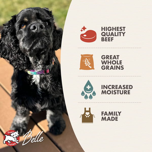 Fromm Beef & Barley Pate Canned Dog Food