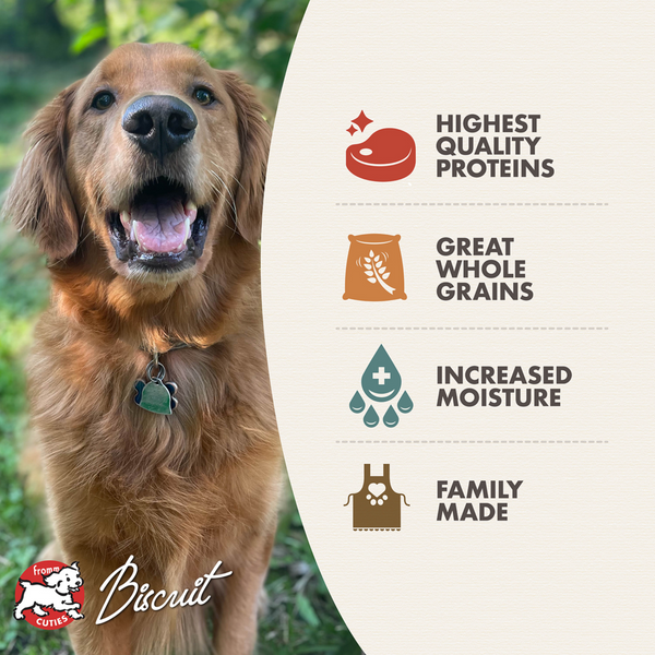 Fromm Venison & Beef Pate Canned Dog Food