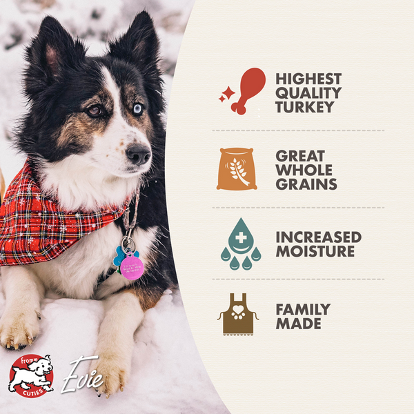 Fromm Turkey Pate Canned Dog Food