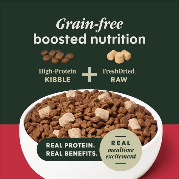 Instinct Raw Boost Grain Free Beef Dry Dog Food