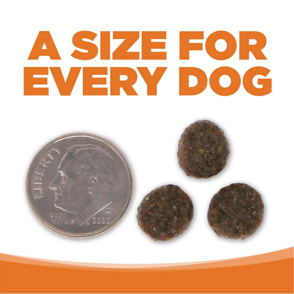 PureVita Grain Free Venison & Red Lentils Entree Dry Dog Food