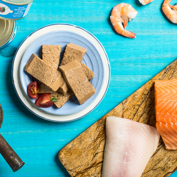 Fromm Four Star Seafood & Shrimp Pate Canned Cat Food