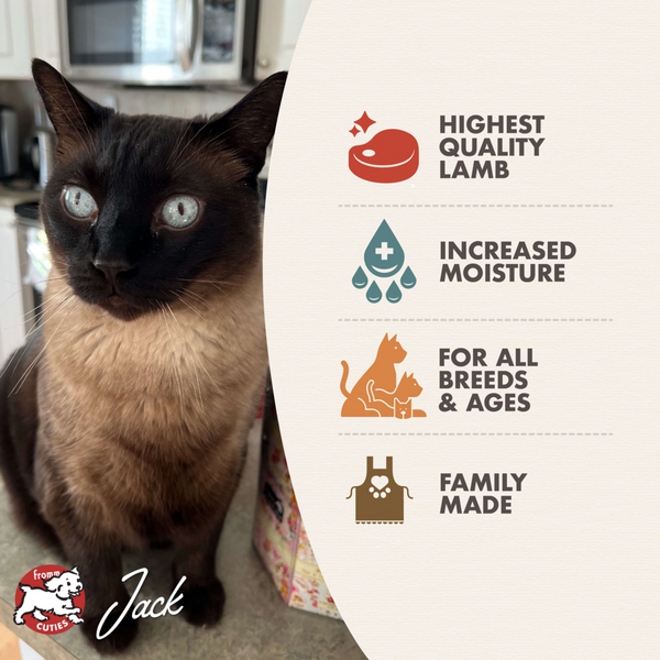 Fromm Four Star Lamb Pate Canned Cat Food