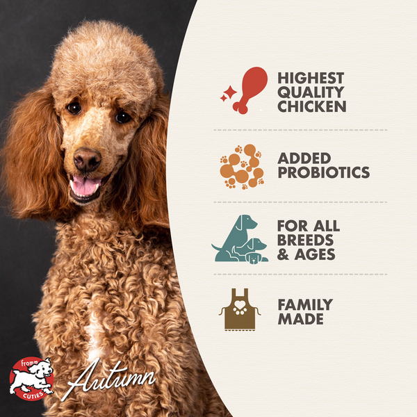 Fromm Four Star Chicken au Frommage Recipe Dry Dog Food