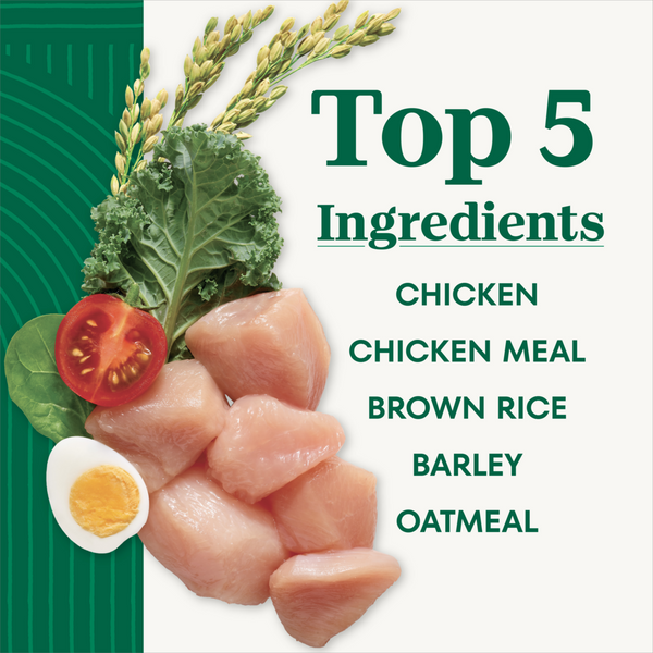 Nutro Wholesome Essentials Puppy Farm-Raised Chicken, Brown Rice & Sweet Potato Dry Dog Food