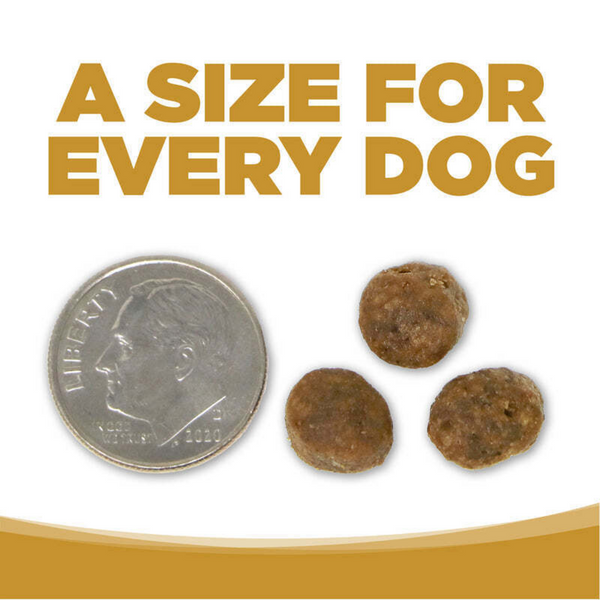NutriSource Grain Free High Plains Select Small Bites Dry Dog Food
