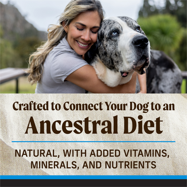 Merrick Backcountry Grain Free Large Breed Adult Dry Dog Food