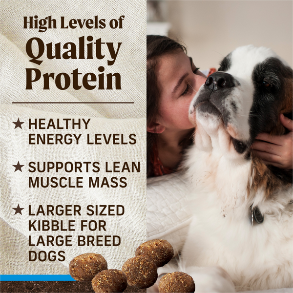 Merrick Grain Free Large Breed Adult Dry Dog Food
