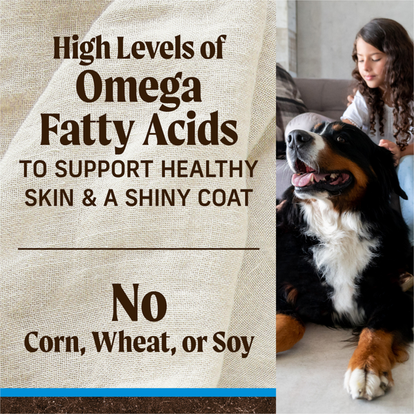 Merrick Grain Free Large Breed Adult Dry Dog Food