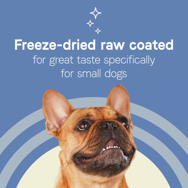 Canidae Pure Farm To Bowl Small Breed, Pasture-Raised Lamb & Lentil Recipe Dog Food
