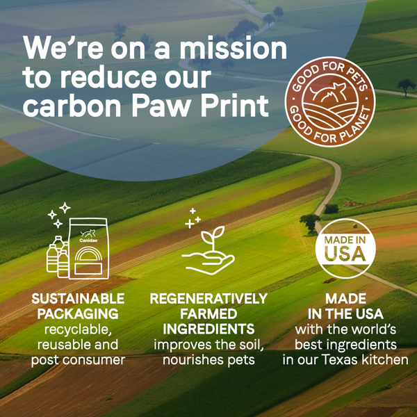 Canidae Pure Petite Freeze-Dried Raw Coated Dog Food for Small Breeds, Real Lamb