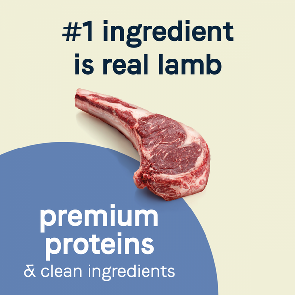 Canidae Pure Petite Freeze-Dried Raw Coated Dog Food for Small Breeds, Real Lamb