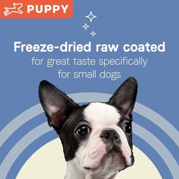 Canidae PURE Petite Small Breed Puppy Salmon Recipe Raw Coated Dry Dog Food