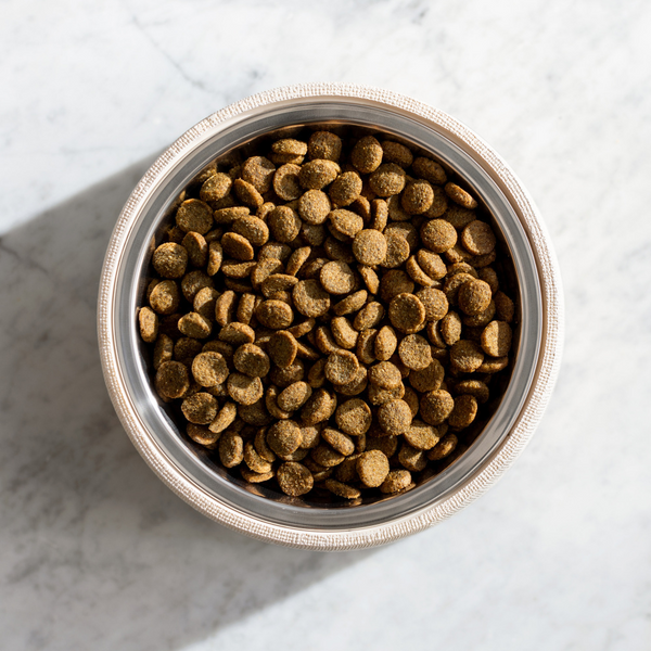 Natural Balance Original Ultra Grain Free Dry Dog Food, Chicken & Sweet Potato Recipe