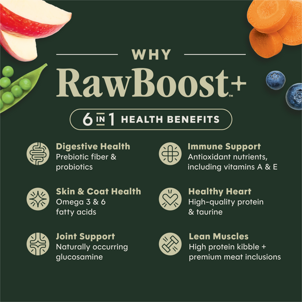 Instinct Raw Boost Grain Free Salmon Dry Dog Food