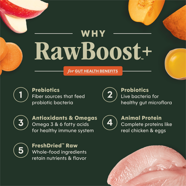 Instinct Raw Boost Grain Free Gut Health Chicken Dry Dog Food