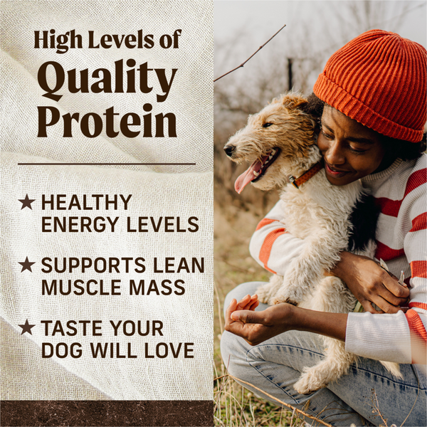 Merrick Grain Free Bison Beef and Sweet Potato Adult Dry Dog Food
