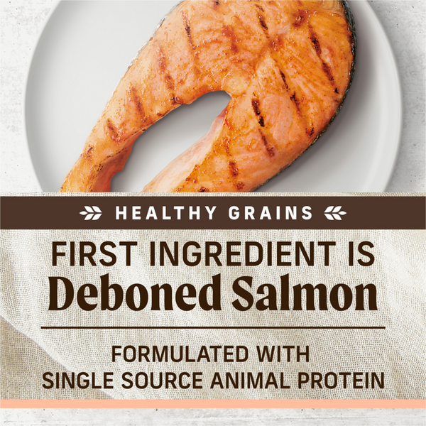 Merrick Limited Ingredient Diet Salmon and Brown Rice Adult Dry Dog Food