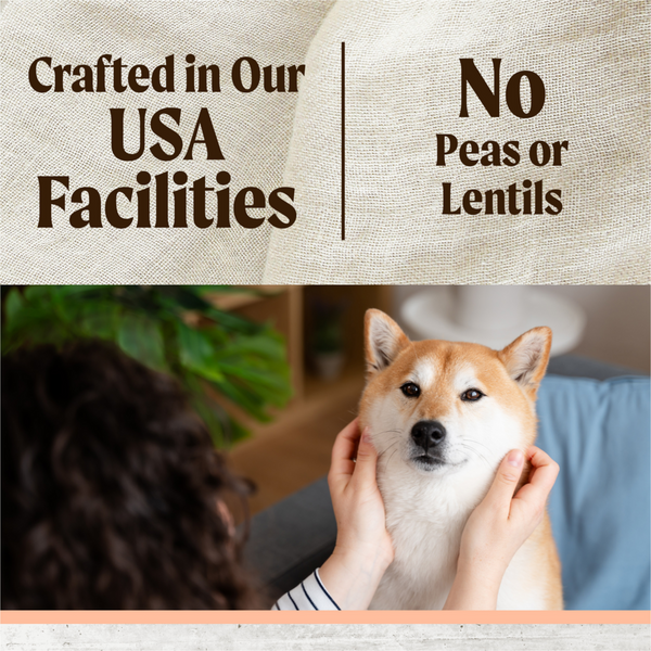 Merrick Limited Ingredient Diet Salmon and Brown Rice Adult Dry Dog Food