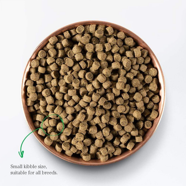 Open Farm Pasture Raised Lamb and Ancient Grains Dry Dog Food