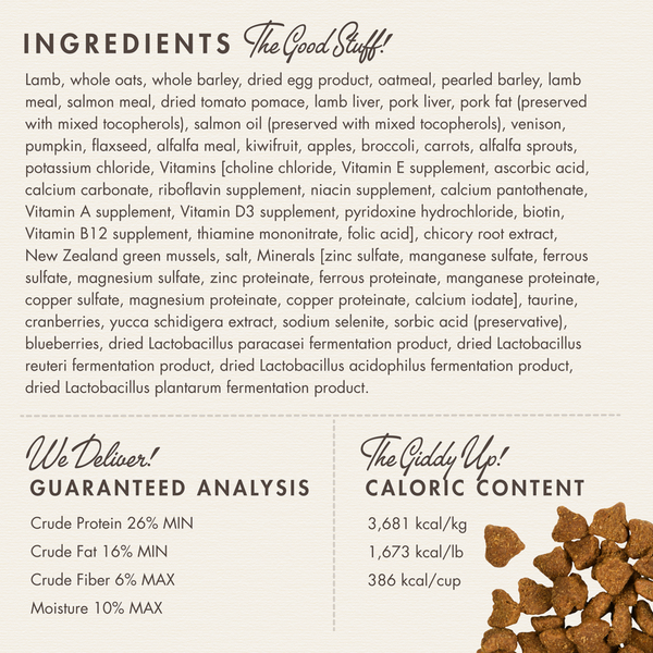 Fromm Four Star Zealambder Recipe Dry Dog Food