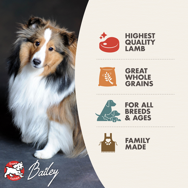 Fromm Four Star Zealambder Recipe Dry Dog Food