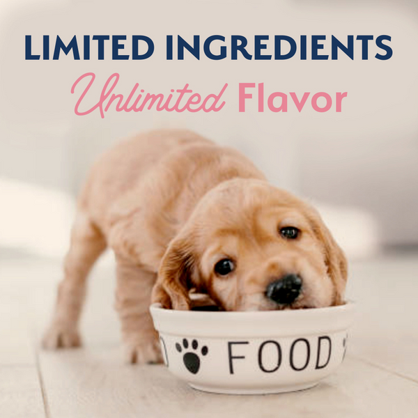 Natural Balance Limited Ingredient Puppy Dry Dog Food, Salmon & Brown Rice Recipe
