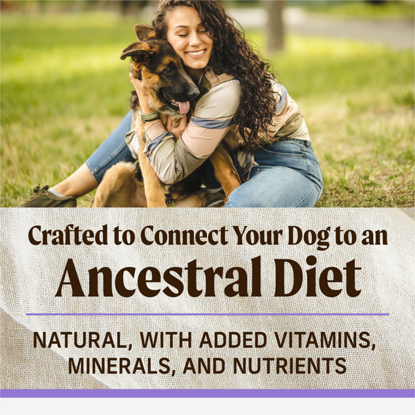 Merrick Backcountry Healthy Grains Dry Puppy Food