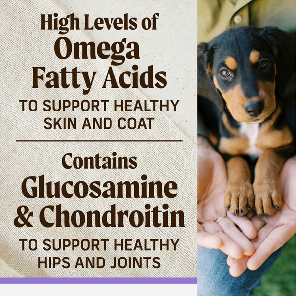 Merrick Backcountry Healthy Grains Dry Puppy Food