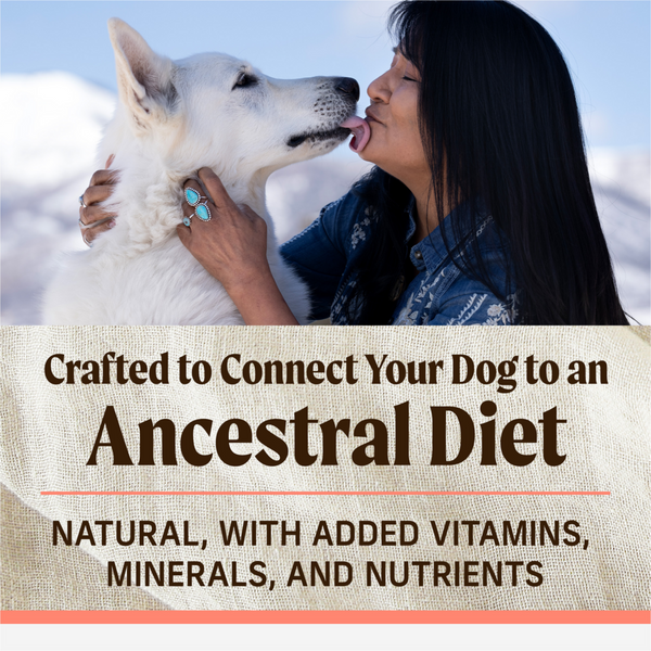 Merrick Backcountry Healthy Grains Pacific Catch Adult Dry Dog Food