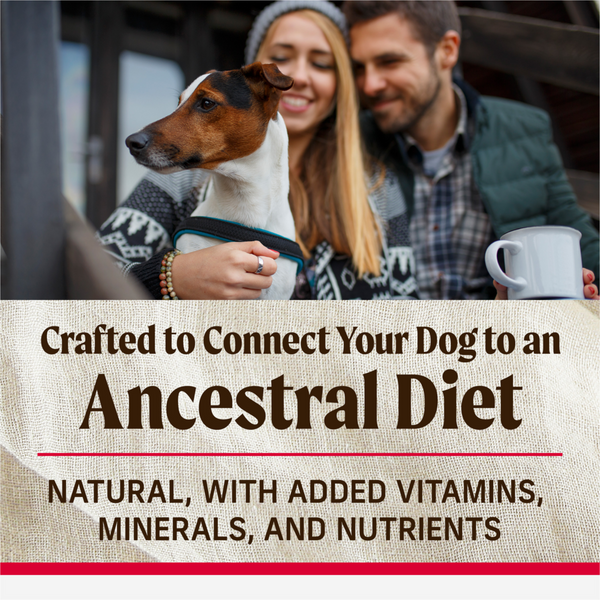 Merrick Backcountry Great Plains Healthy Grain Red Meat Adult Dry Dog Food