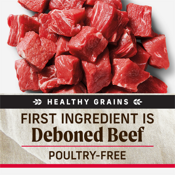 Merrick Backcountry Great Plains Healthy Grain Red Meat Adult Dry Dog Food