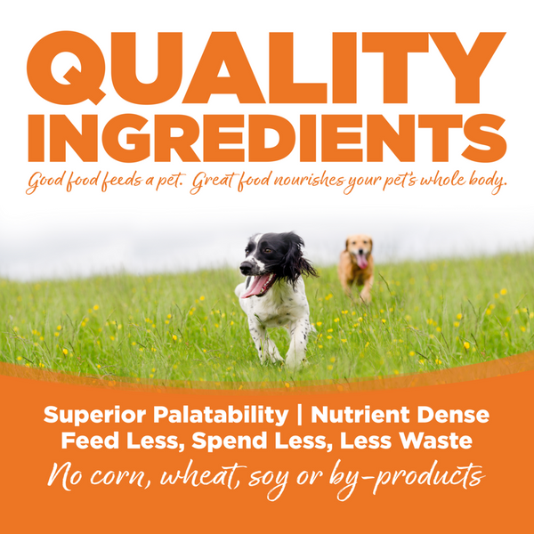 NutriSource Choice Turkey Meal & Barley Recipe Dry Dog Food
