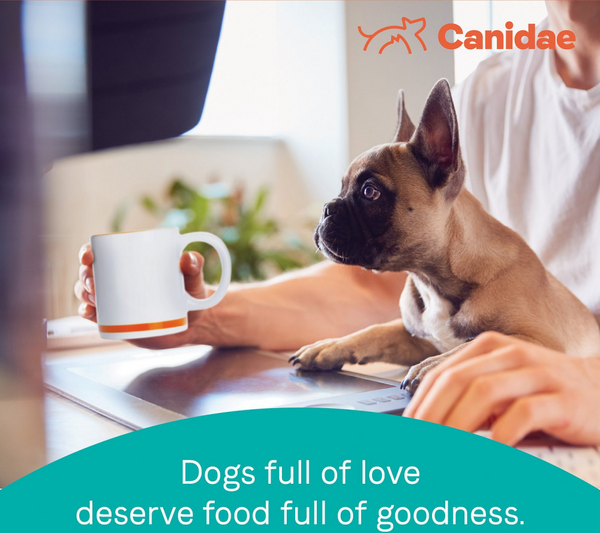 Canidae Pure Farm To Bowl Puppy Wild-Caught Salmon & Oatmeal Recipe Dog Food