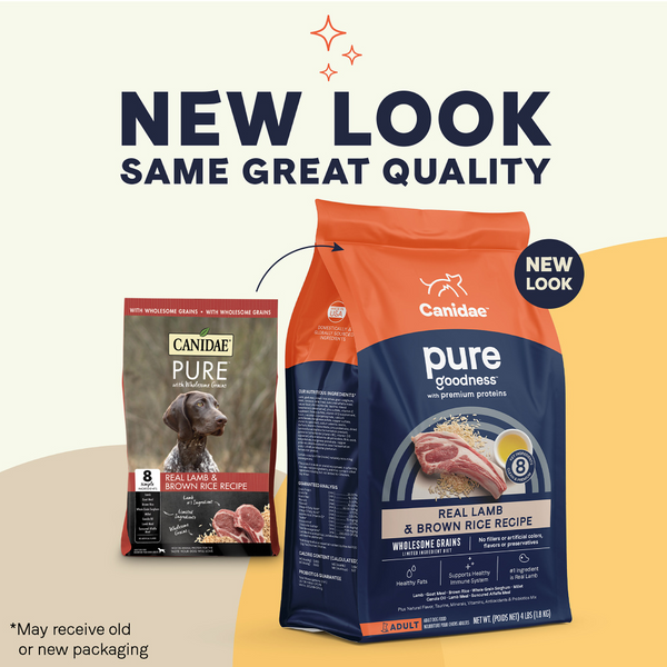 Canidae Pure Goodness Real Lamb & Brown Rice Recipe Adult Dry Dog Food