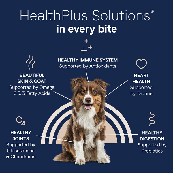 Canidae Pure Goodness Real Lamb & Brown Rice Recipe Adult Dry Dog Food