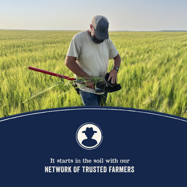 Canidae Pure Farm To Bowl Pasture-Raised Lamb & Brown Rice Recipe