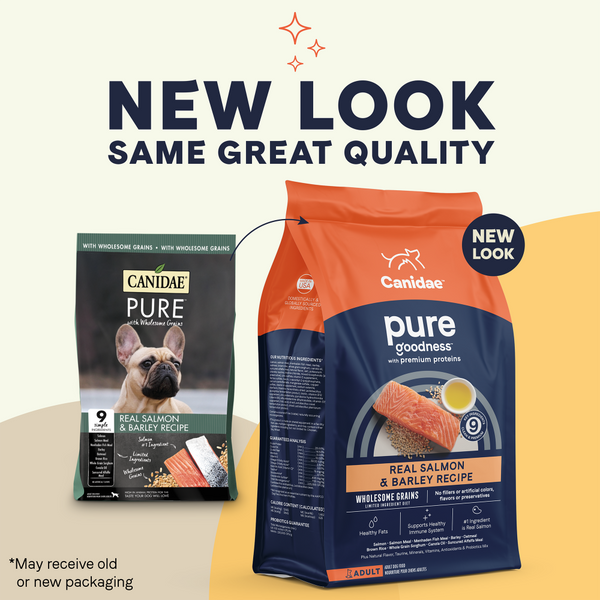 Canidae Pure Farm to Bowl Wild-Caught Salmon & Barley Recipe Dog Food