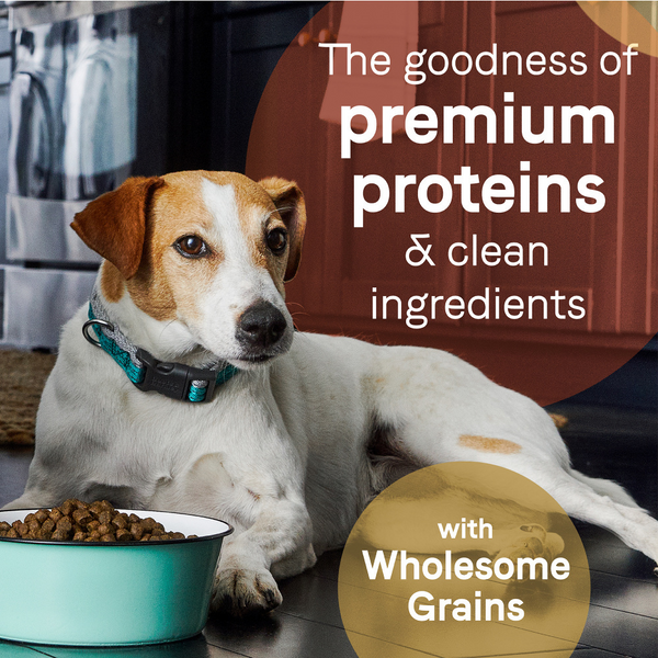 Canidae Pure Farm to Bowl Wild-Caught Salmon & Barley Recipe Dog Food