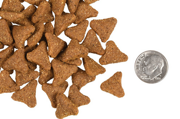 Fromm Ancient Gold Adult Dry Dog Food