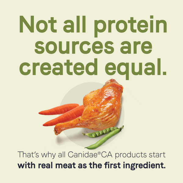 Canidae CA-30 Real Turkey, Peas & Carrots Recipe Dry Dog Food