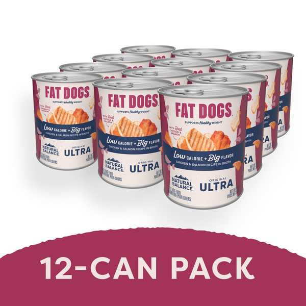 Natural Balance Original Ultra Fat Dogs Wet Dog Food, Chicken & Salmon Recipe in Broth