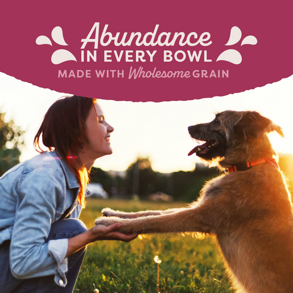 Natural Balance Original Ultra Fat Dogs Wet Dog Food, Chicken & Salmon Recipe in Broth