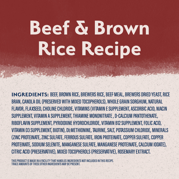 Natural Balance Limited Ingredient Dry Dog Food, Beef & Brown Rice Recipe