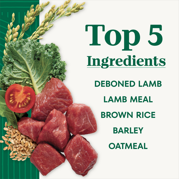 Nutro Natural Choice Adult Lamb & Brown Rice Recipe Dry Dog Food