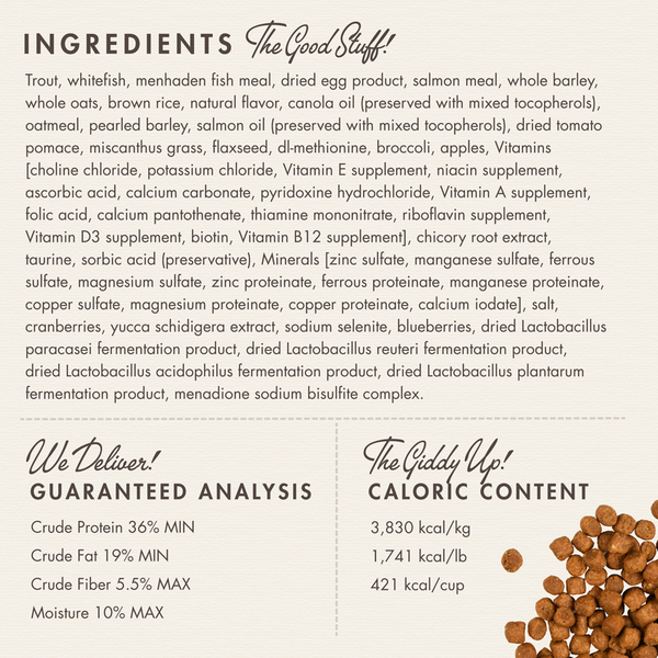 Fromm Four Star Trout & Whitefish Recipe Dry Dog Food